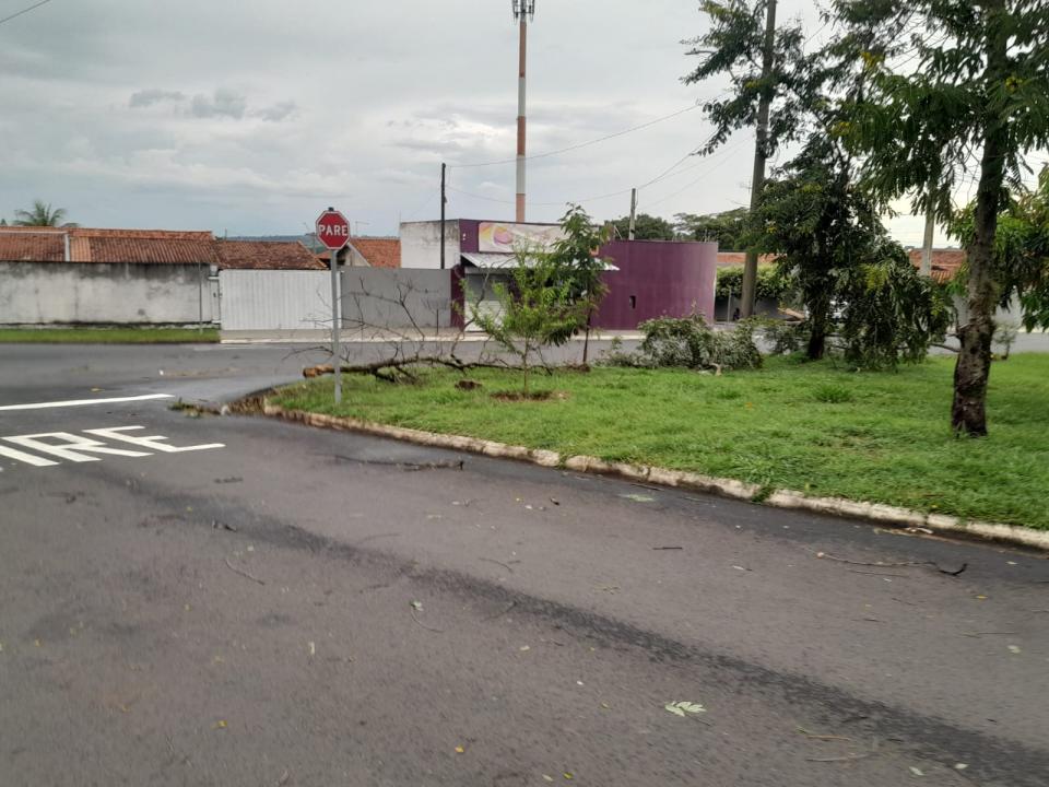 Foto 7 de 29 — Tempestade derruba dezenas de árvores e causa prejuízos em Boa Esperança do Sul